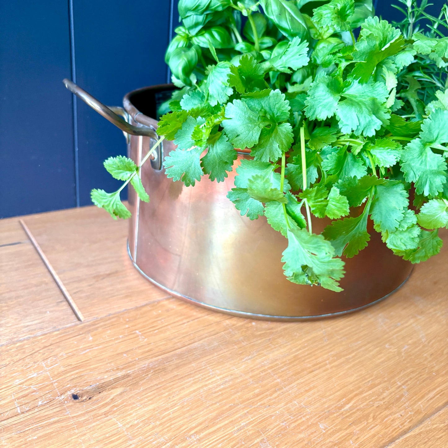 Vintage Copper Oval Handled Pan Planter