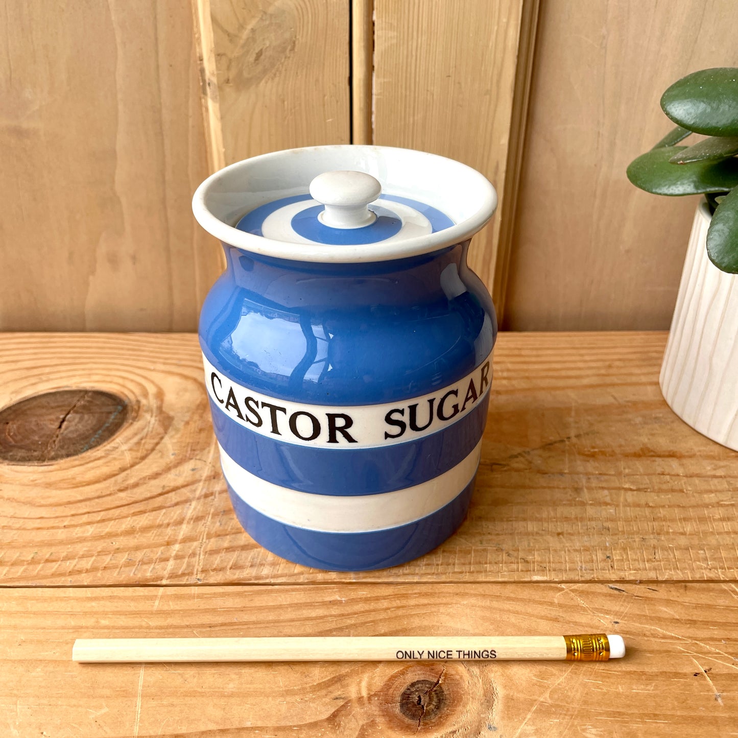TG Green Blue and White Castor Sugar Canister