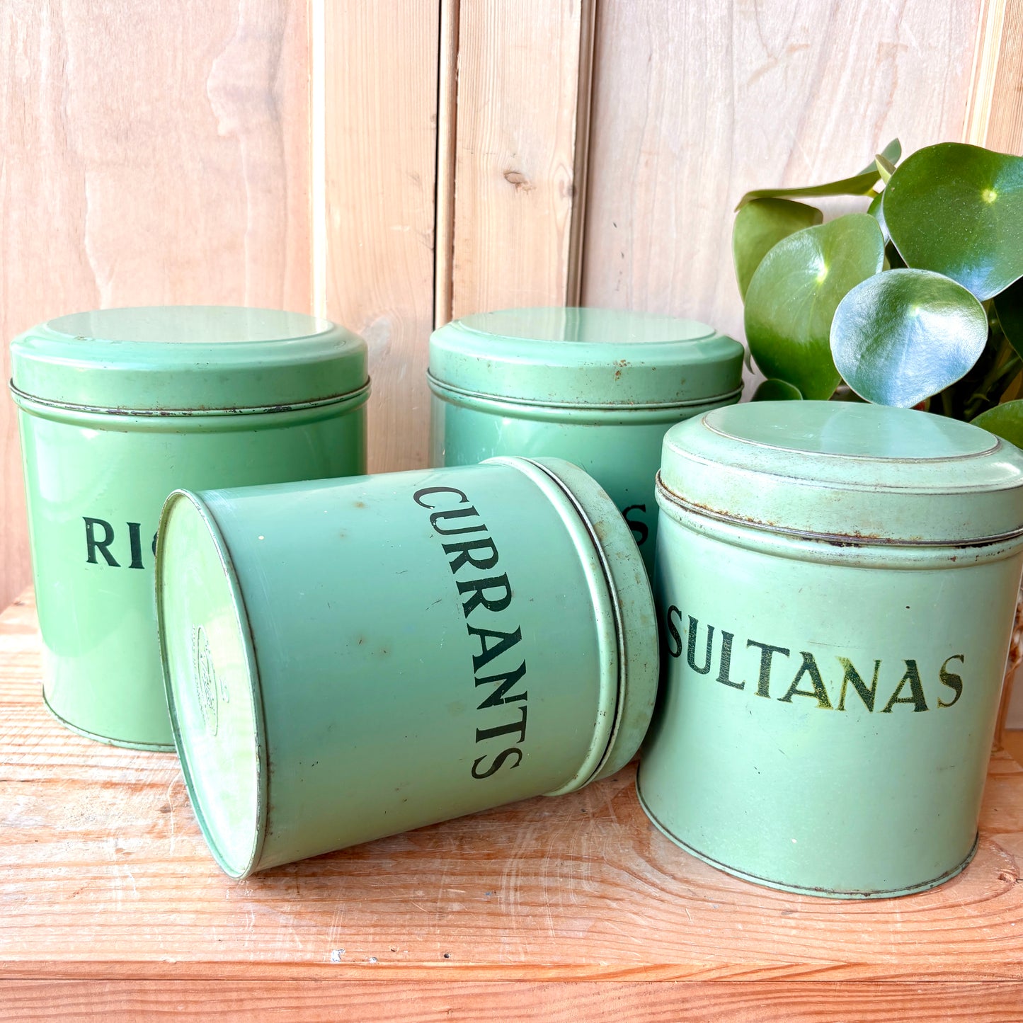 Vintage Green Tala Storage Canisters