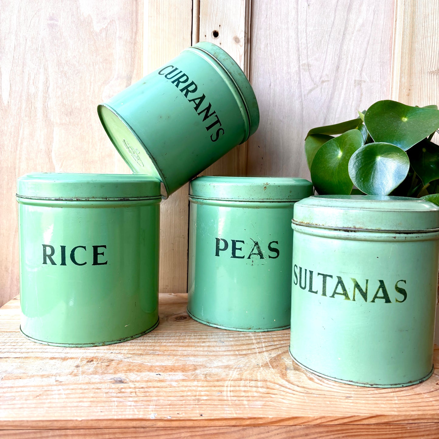 Vintage Green Tala Storage Canisters