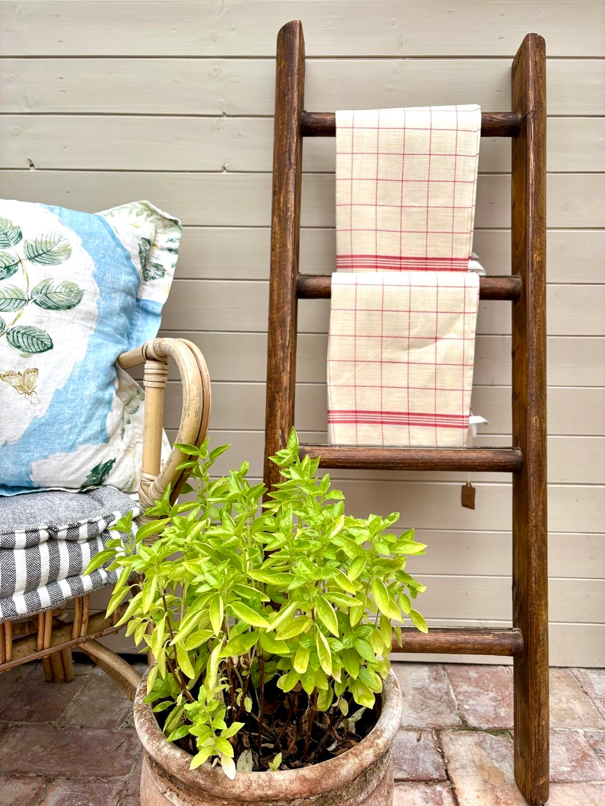 Decorative Wooden Ladders