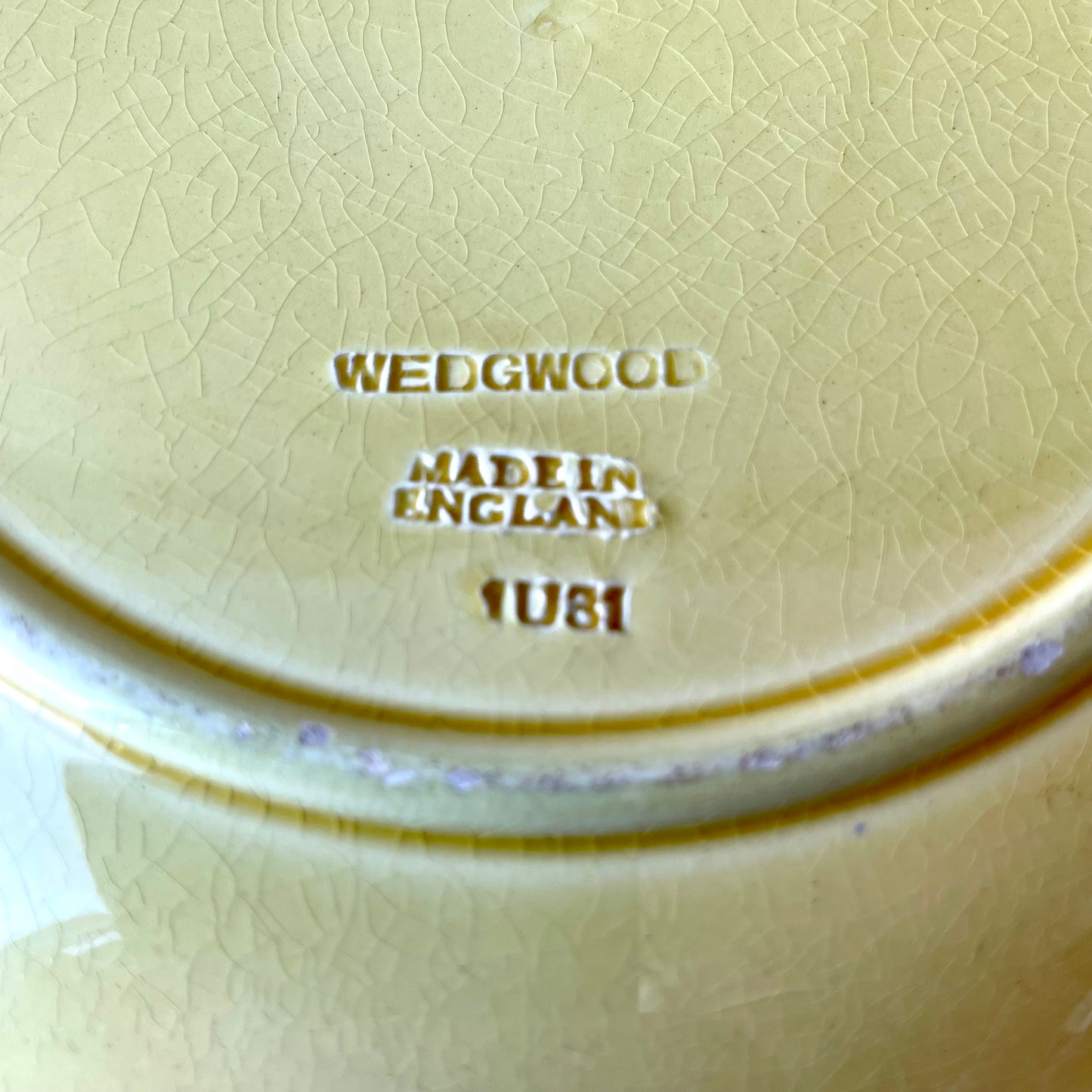 Antique Wedgwood Majolica plate "Strawberry & Vine"