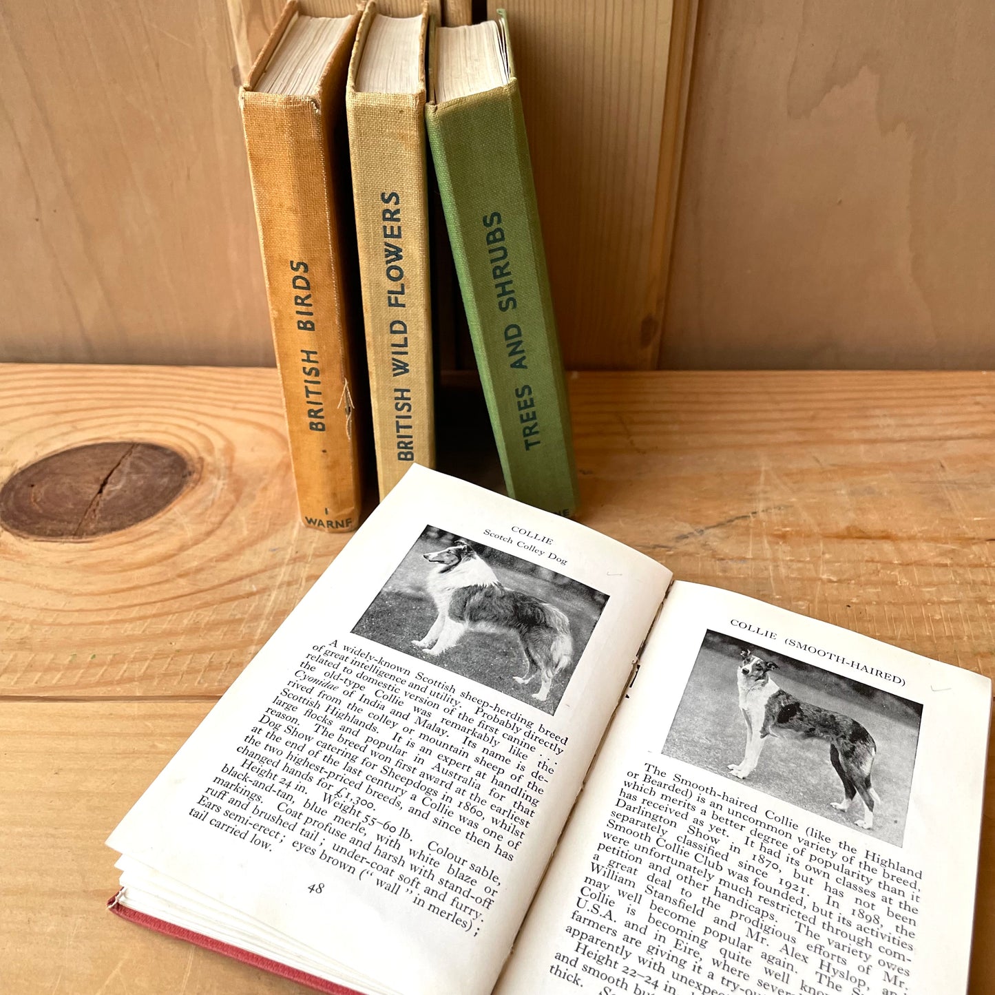 Rare Frist Edition Observer books