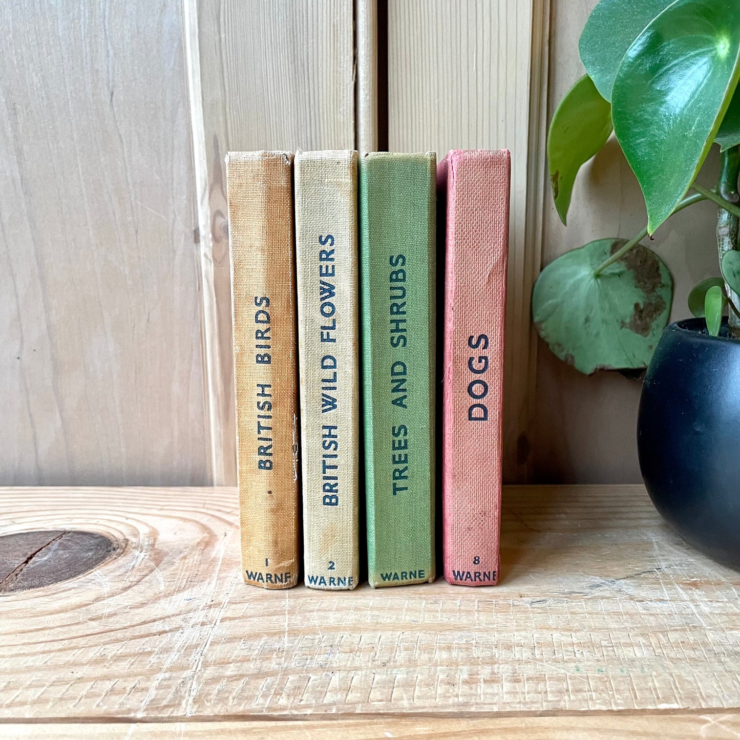 Rare Frist Edition Observer books