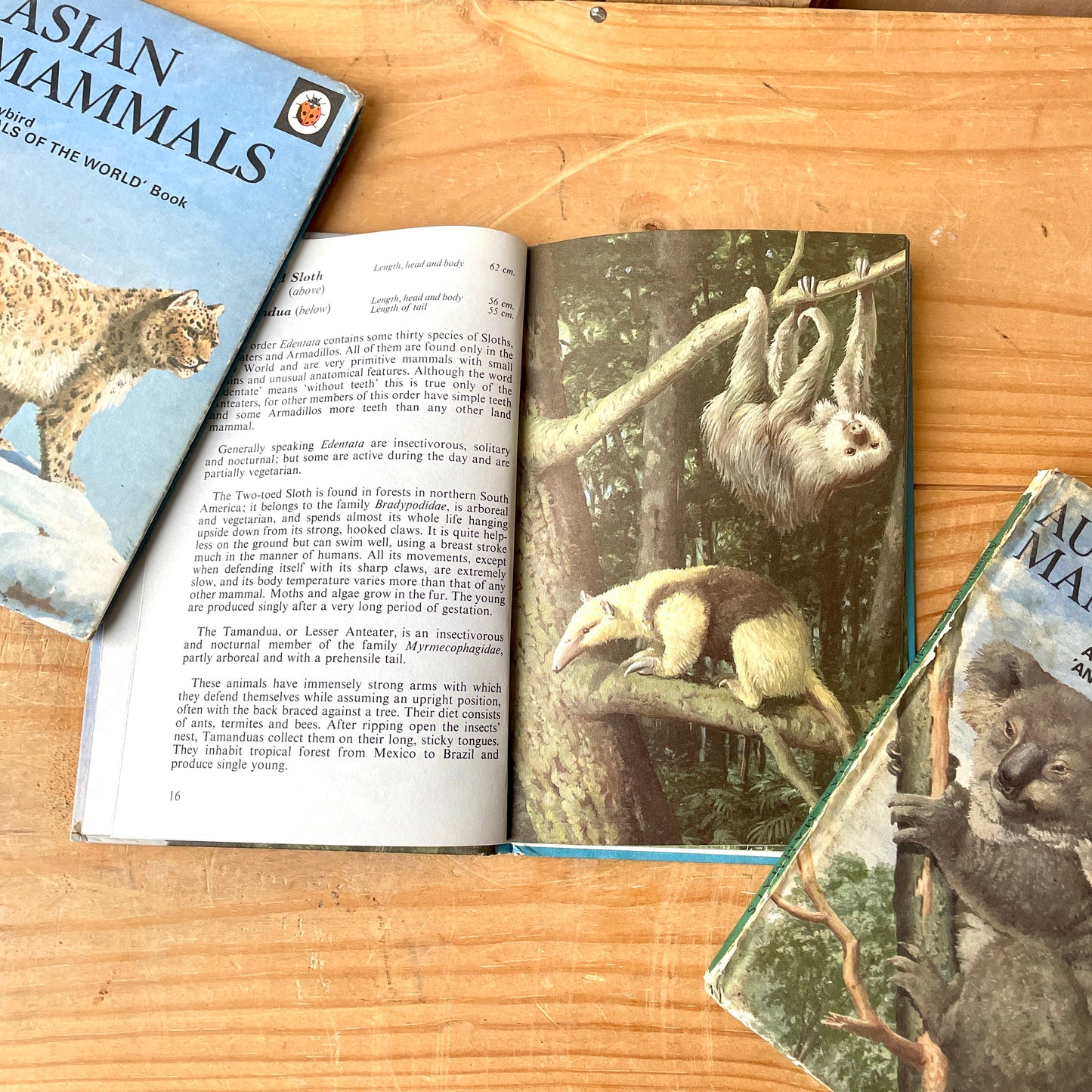 Ladybird books series 691 book 2, 5 and 6