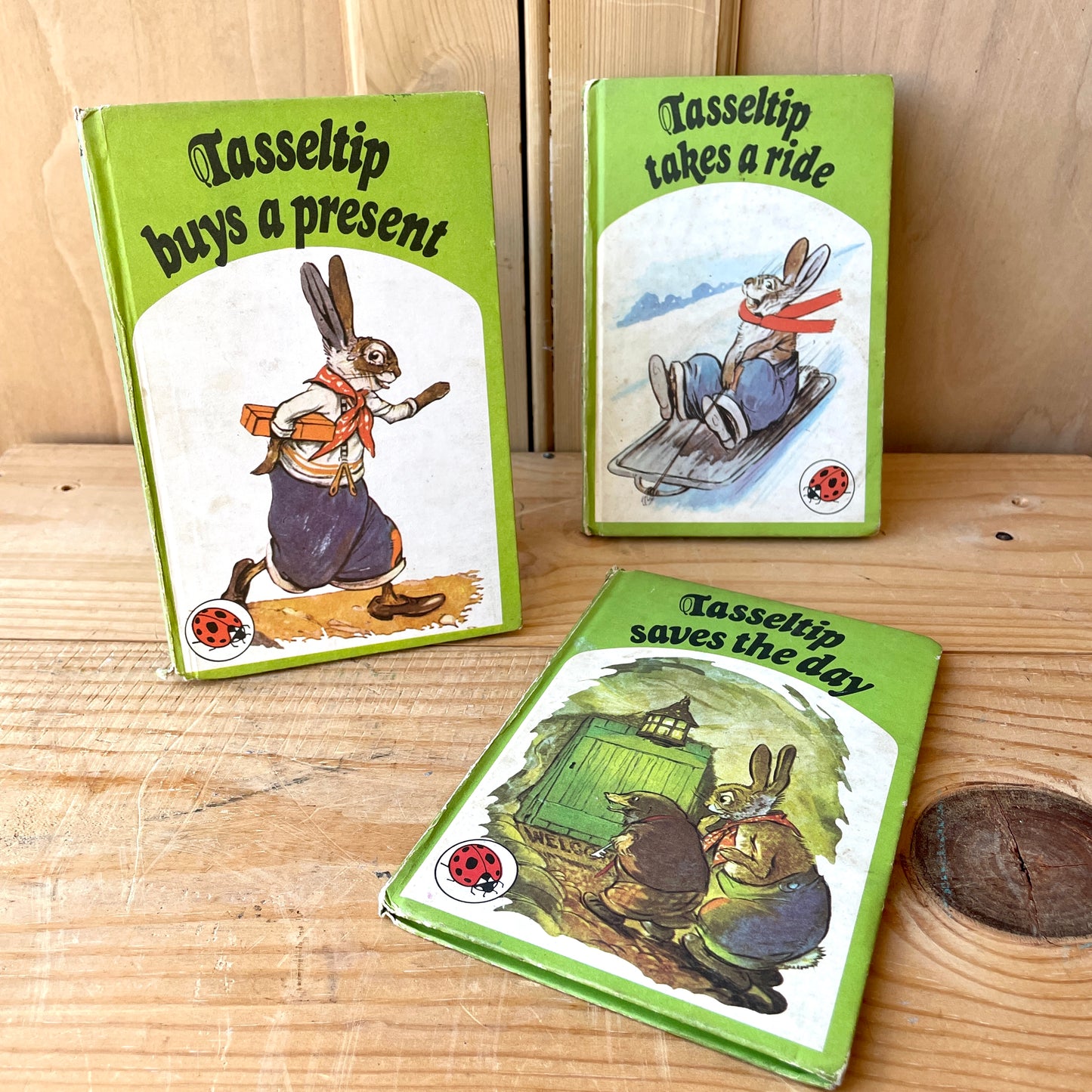 Vintage Ladybird Books Set of 3 Tasseltip books