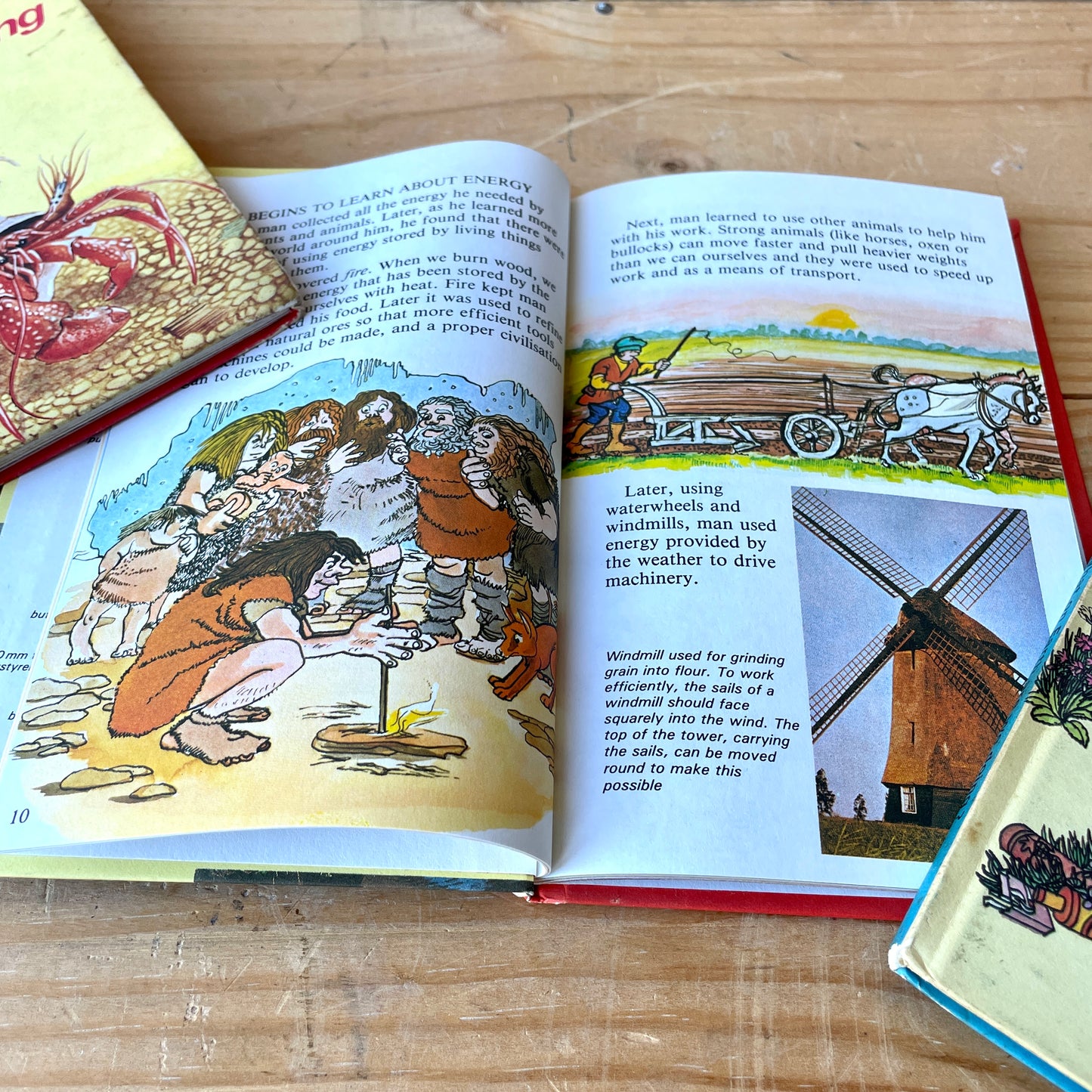Vintage Ladybird Books Set of 3 Conservation books Series 727