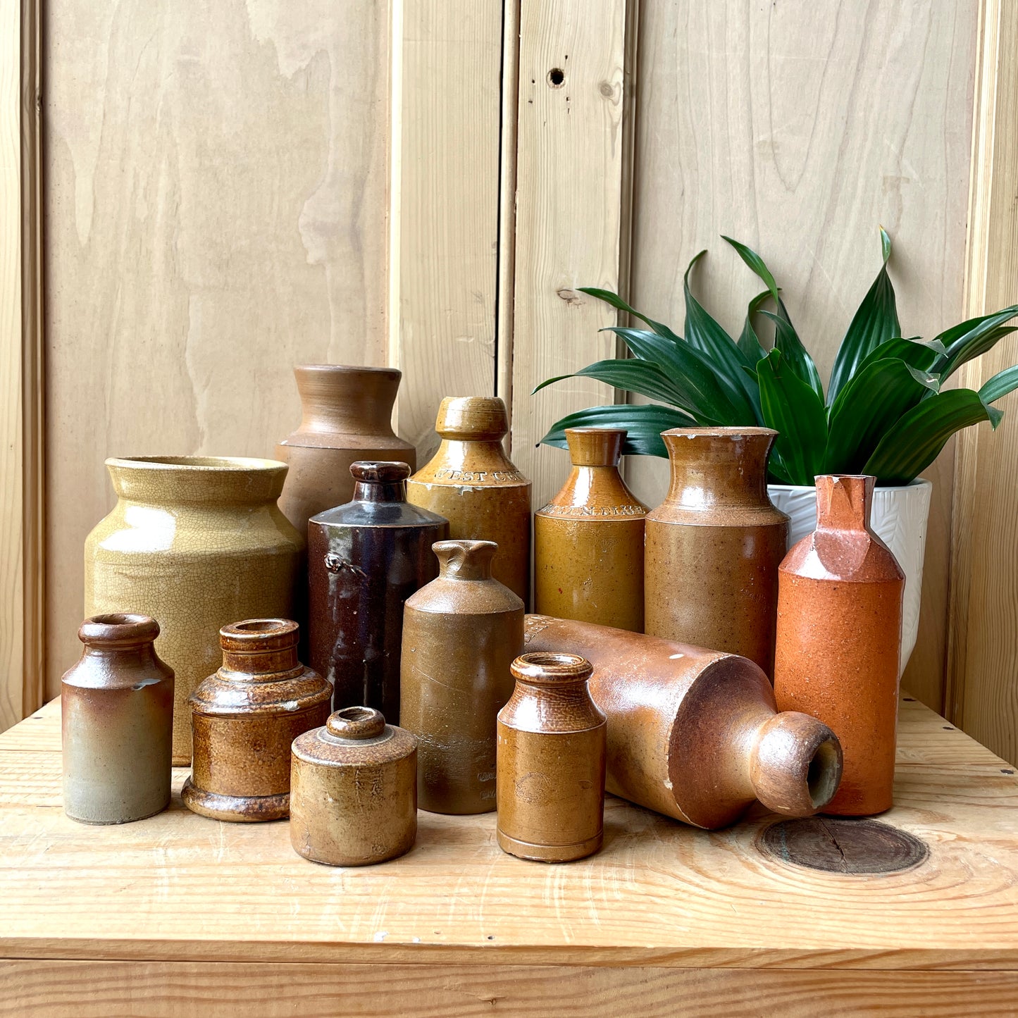 Antique bottles