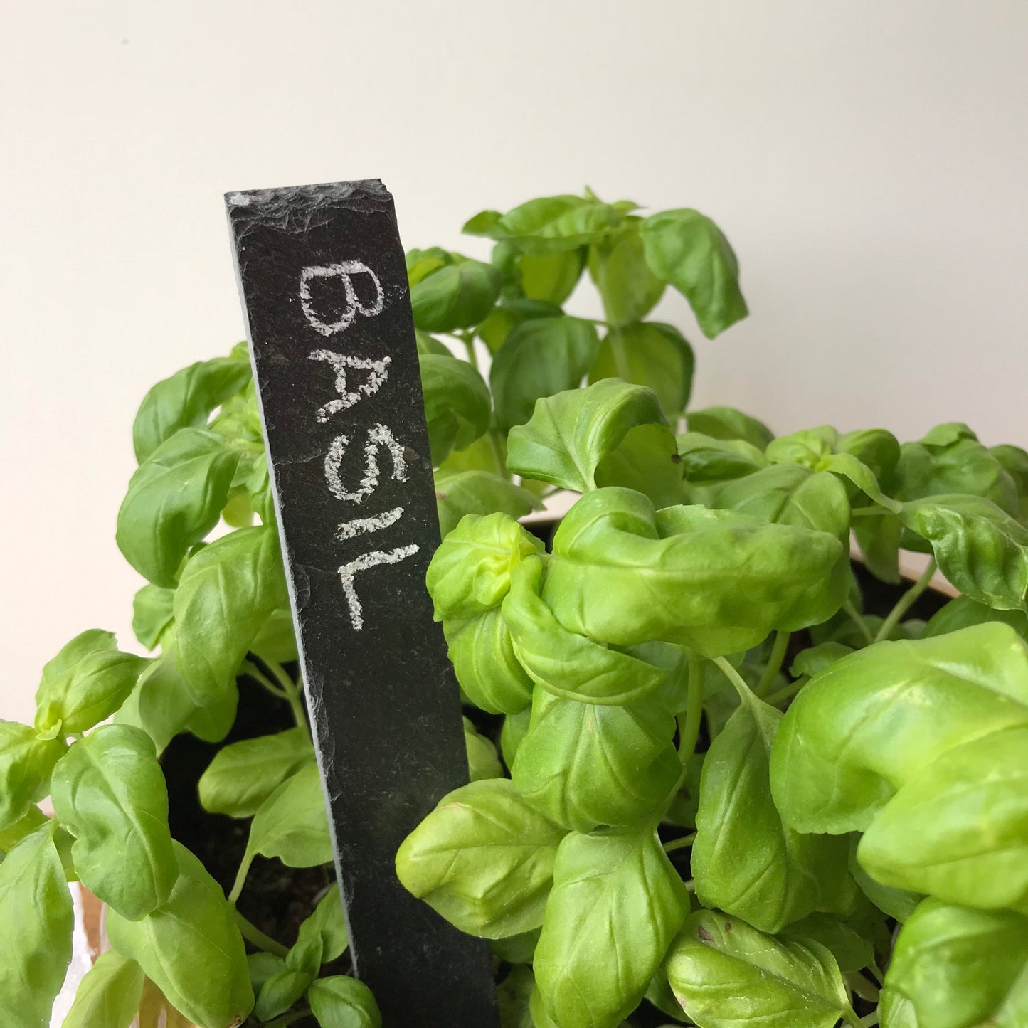 Slate plant tags set