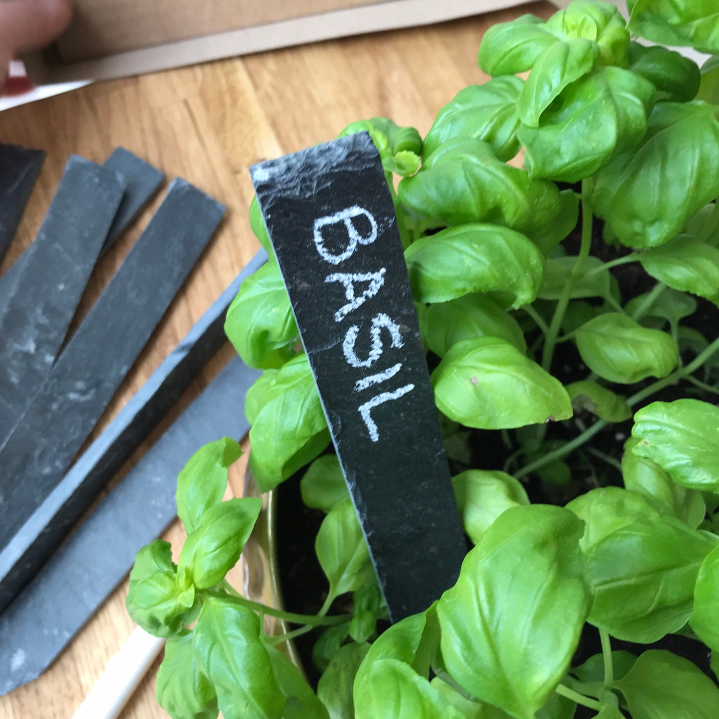 Slate plant tags set