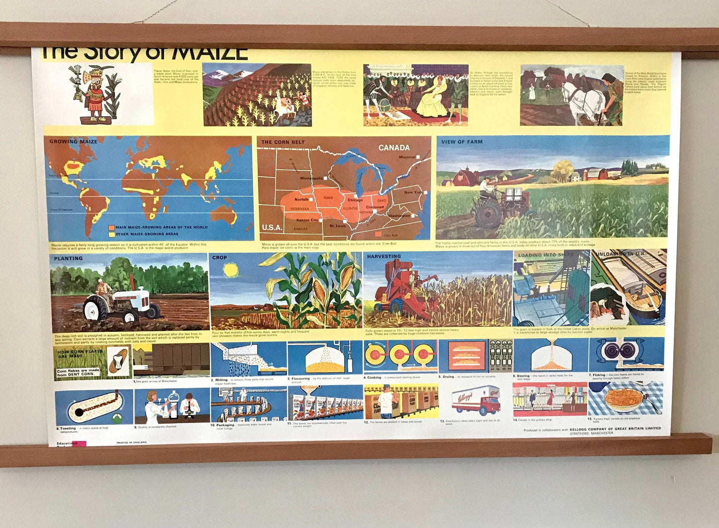 Vintage educational posters: The Story of Maize